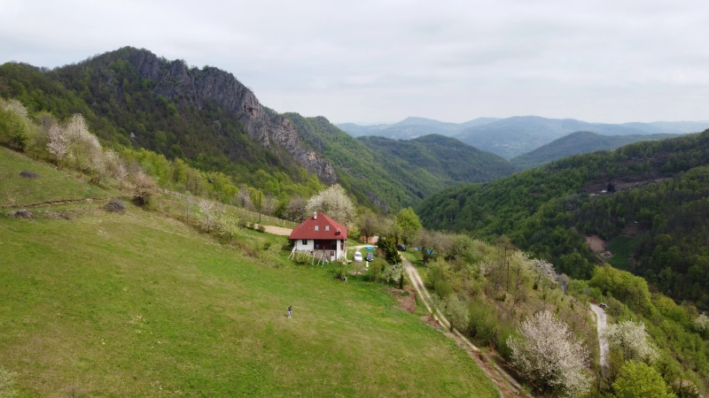 Rudaci